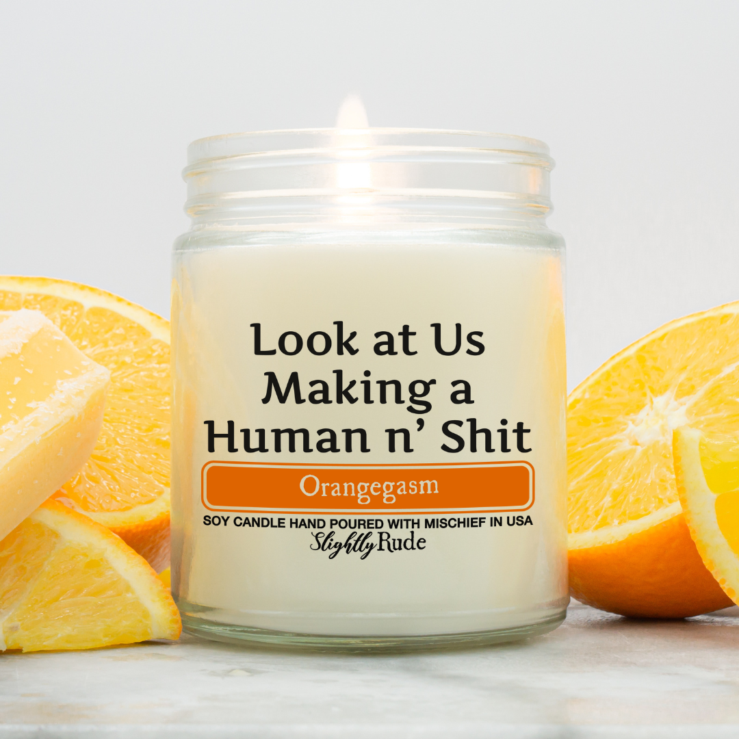 Look at Us Making a Human n' Sh*t - Naughty Scented Candle