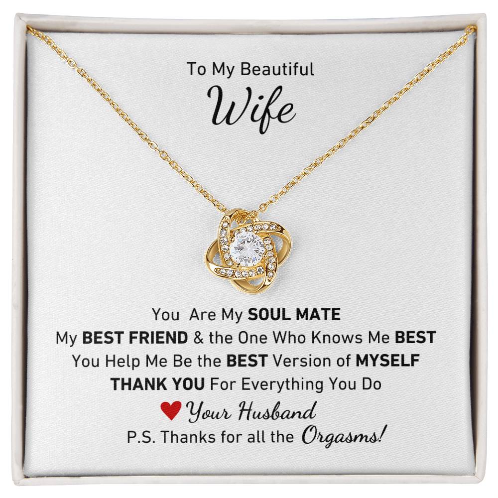 To My Beautiful Wife, You Are My Soul Mate Message P.S. Thanks for All the Orgasms Necklace