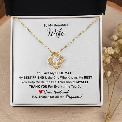 To My Beautiful Wife, You Are My Soul Mate Message P.S. Thanks for All the Orgasms Necklace