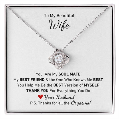 To My Beautiful Wife, You Are My Soul Mate Message P.S. Thanks for All the Orgasms Necklace