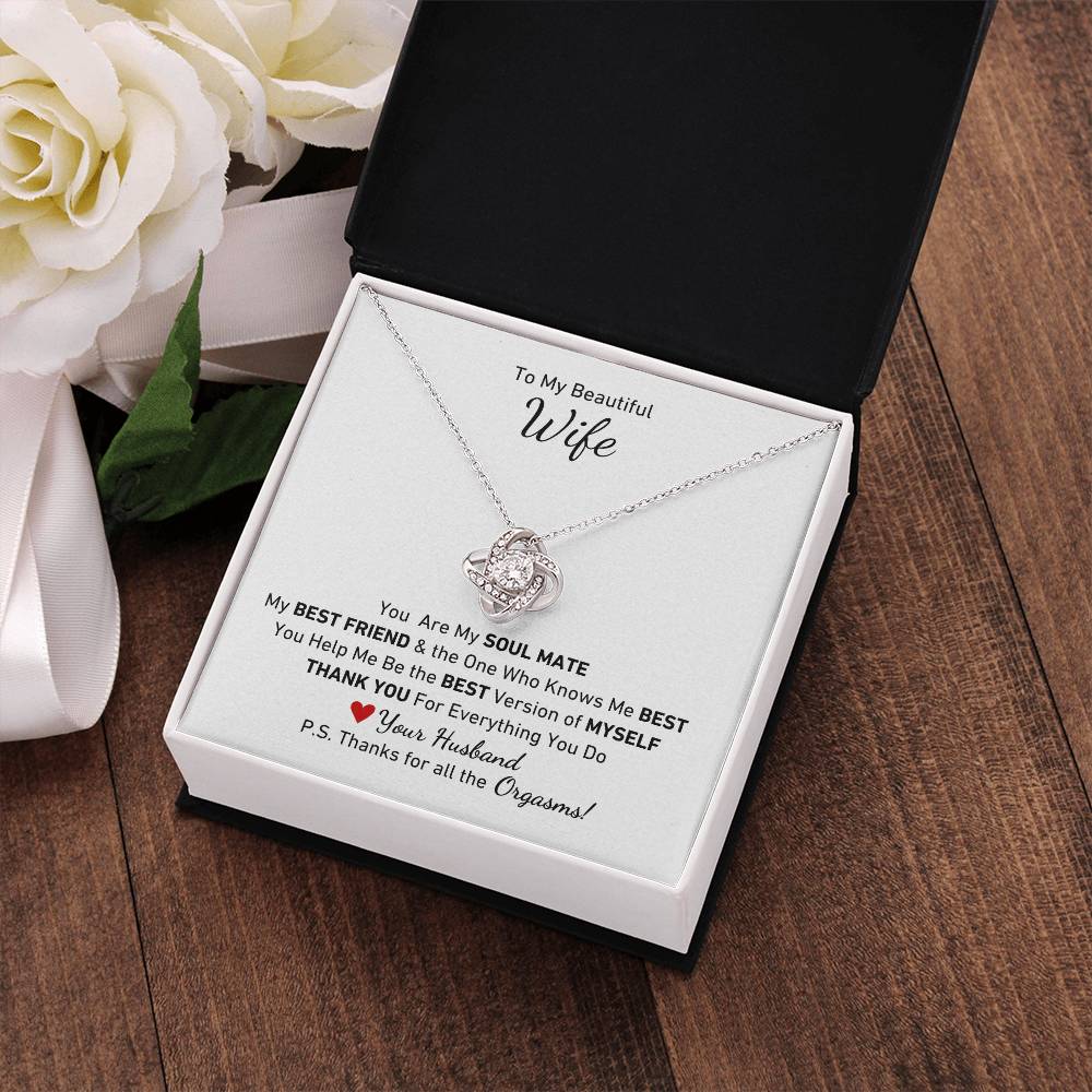 To My Beautiful Wife, You Are My Soul Mate Message P.S. Thanks for All the Orgasms Necklace