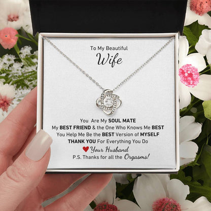 To My Beautiful Wife, You Are My Soul Mate Message P.S. Thanks for All the Orgasms Necklace