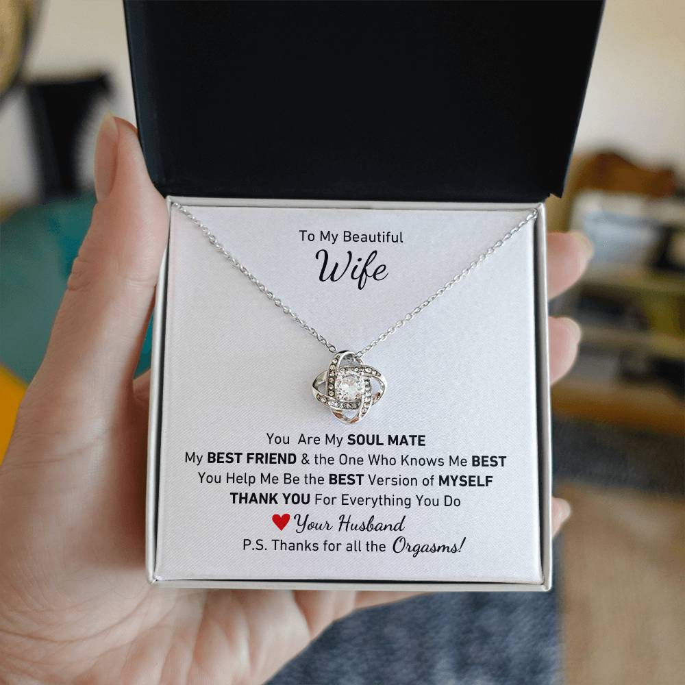 To My Beautiful Wife, You Are My Soul Mate Message P.S. Thanks for All the Orgasms Necklace