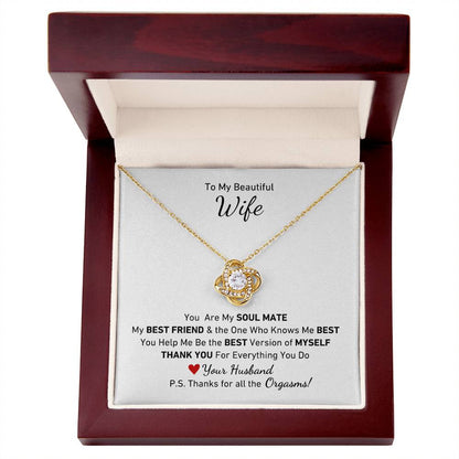 To My Beautiful Wife, You Are My Soul Mate Message P.S. Thanks for All the Orgasms Necklace