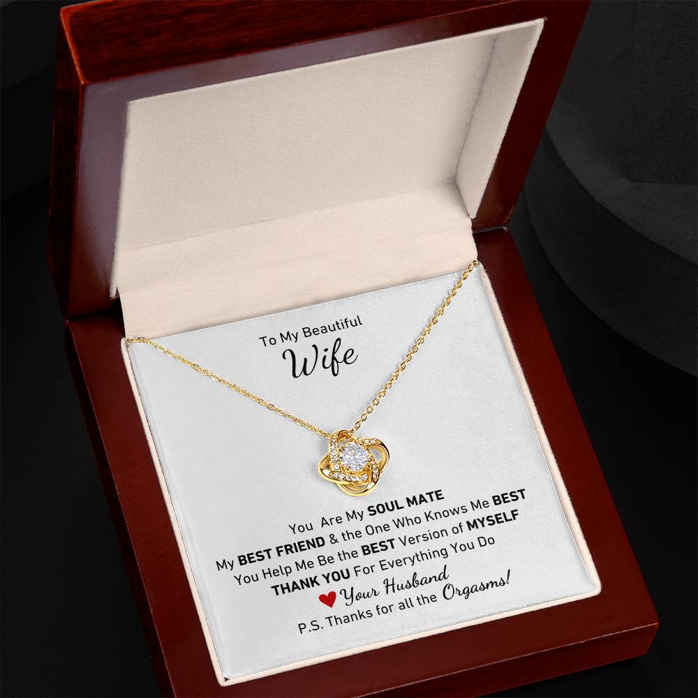 To My Beautiful Wife, You Are My Soul Mate Message P.S. Thanks for All the Orgasms Necklace