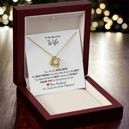 To My Beautiful Wife, You Are My Soul Mate Message P.S. Thanks for All the Orgasms Necklace