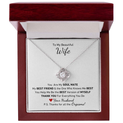 To My Beautiful Wife, You Are My Soul Mate Message P.S. Thanks for All the Orgasms Necklace