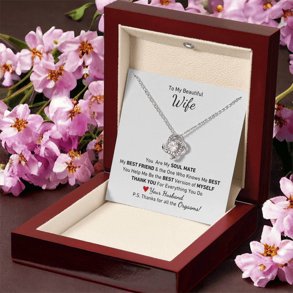 To My Beautiful Wife, You Are My Soul Mate Message P.S. Thanks for All the Orgasms Necklace